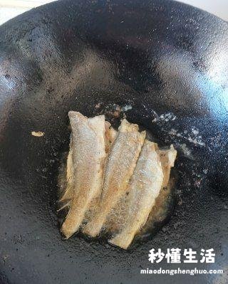 天津鲫头鱼是什么鱼