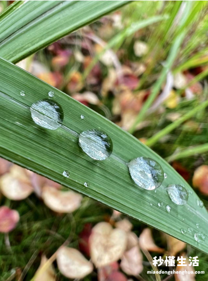 分享苹果13功能全部技巧 苹果13pro功能介绍与使用