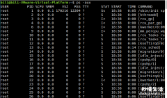分享linux常用命令及用法 linux查看进程命令行