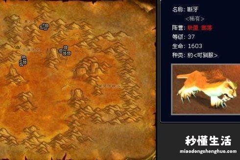 详解60级猎人最佳宠物 wow猎人稀有宝宝排行