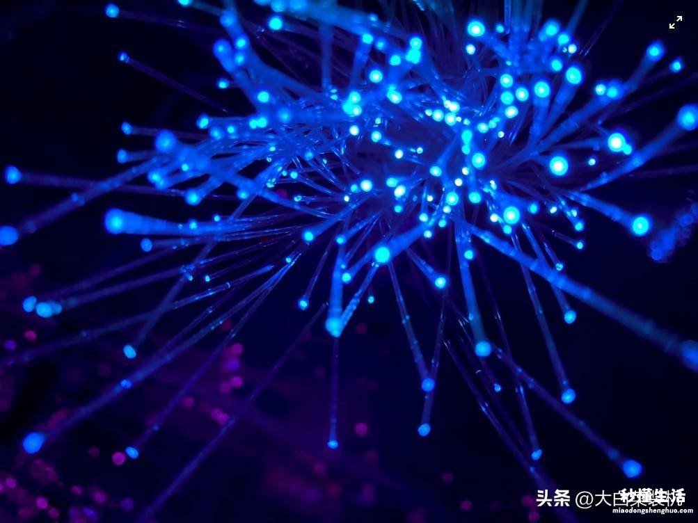 wifi信号增强器使用教程 连接路由器怎么设置网络模式