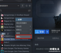 csgo国际服代码在哪里输入？指令是什么？